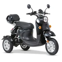eneway Modena II Elektromobil 25 km/h schwarz