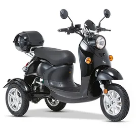 eneway Modena II Elektromobil 25 km/h schwarz