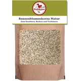 Eichkater Sonnenblumenkerne Natur, naturbelassen, Rohkostqualität - 500g