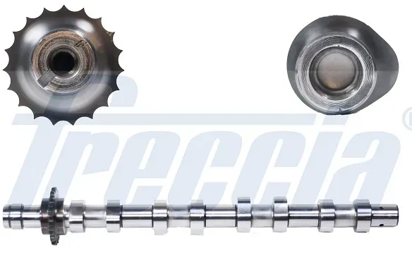 FRECCIA Nockenwelle cm052146 Einlassseite für Ford MINI Volvo Peugeot Fiat MAZDA Suzuki