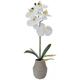 Mikasa Künstliche Orchidee im Topf, fühlen Sich echt an, Phalaenopsis-Orchidee, geprägter Zementtopf, 40,6 cm einzelner Zweig, weiß/gelb