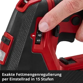 Einhell Akku-Fettpresse TP-GR 18/690