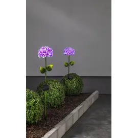 Star Trading LED-Solarstab"Hortensia" pink