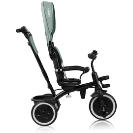 lionelo Berry Multifunktionales Dreirad und Kinderwagen von 9 Monaten bis 5 Jahren bis zu 25 kg Große PU-Räder, Dreirad-Drehsitz 360° Montage ohne Werkzeug
