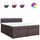 vidaXL Boxspringbett 180 x 200 cm Braun