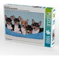 Calvendo Puzzle Bezaubernde Basenji-Welpen 1000 Teile Lege-Größe 64 x