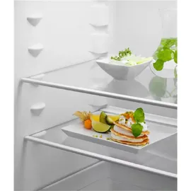 Electrolux Kühlschrank ERD6DE18S1