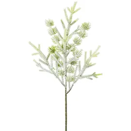 Creativ green Minifichtenzweig 39 cm grün