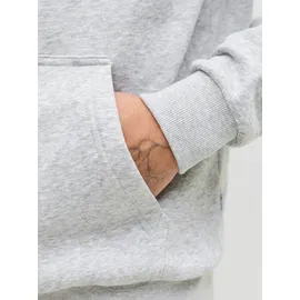 JACK & JONES Bradley Kapuzenpullover Light Grey Melange S