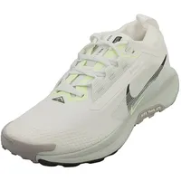Nike Pegasus Trail 5 Herren Weiß/Silber 42