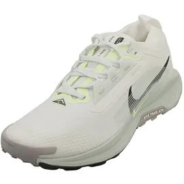 Nike Pegasus Trail 5 Herren Weiß/Silber 42