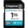 Kingston Canvas Go! Plus Gen4 1TB SDXC Speicherkarte (200 MB/s, C10 UHS-I U3 V30)
