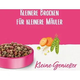 Purina BENEFUL Kleine Genießer mit Rind Hundetrockenfutter 1,4kg Beutel (6er Pack (6 x 1400g))