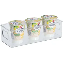 Zeller Aufbewahrungsbox 25,5 x 9,5 x 7,6 cm 10-tlg. transparent