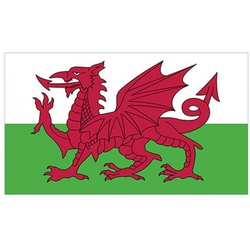 Printwear Fahne Fahne Wales / 90 x 150 cm