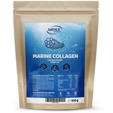 Wehle Sports Marine Kollagen Pulver 500 g