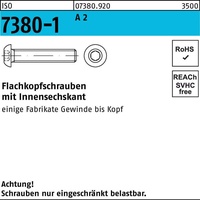 Hörger & Geßler Flachkopfschraube ISO 7380-1 Innen-6kt M4x 8