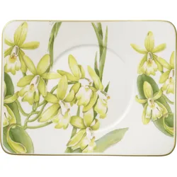 Amazonia Untertasse für Teetasse