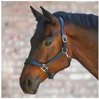 Waldhausen X-Line schwarz COB