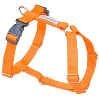 amiplay Hunde-Geschirr Verstellbares Hunde Brustgeschirr Guard SAMBA, farbenfrohe Designs orange L 35-60 b 50-75 d x 2,5cm