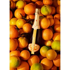 Chandon Garden Spritz Orange 11,5% vol 0,75 l