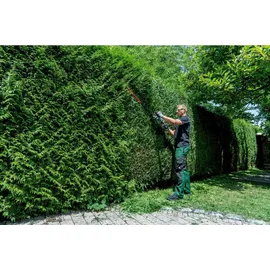 Metabo HS 18 LTX BL 55 100 cm ohne Akku