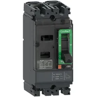 Schneider Electric C10M2TM100 Leistungsschalter 1 St.