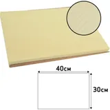 PROnappe 500 PROnappe Platzsets Tiss Lack beige 30,0 x 40,0 cm