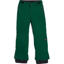 O'Neill Fwc'cruz Snow Pants emerald envy (16056) 128