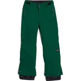 O'Neill Fwc'cruz Snow Pants emerald envy (16056) 128
