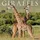 Willow Creek Press Giraffes 2026 Wall Calendar