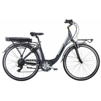 Montana OLMO, Montana Elektro-Citybike 28 Zoll E-Ayda