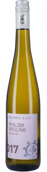 Pfälzer Riesling Weingut Hammel & Cie 2023