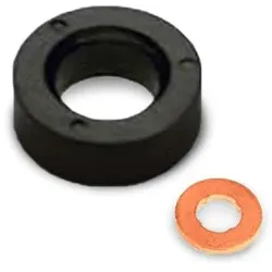 INTFRADIS Dichtring, Düsenhalter FORD 10178 1364301