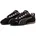 SD Black-Rosy 41