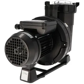 Fluidra Deutschland GmbH Victoria Plus Silent Pumpe 50M 11,0 m3/h