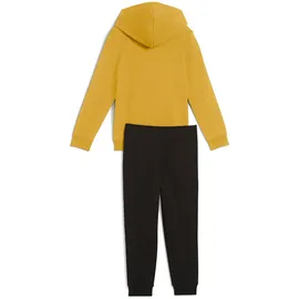 Puma Essentials No.1 Logo Sweat Suit TR PS archive gold (62) 116