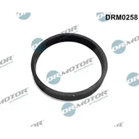 DR.MOTOR AUTOMOTIVE Dichtung, Turbineneinlass (Lader) DRM0258