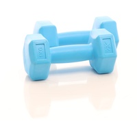 LUXTRI Hantel Set 2x 2kg blau Kurzhantel 2er Gewichte Krafttraining Gewichtheben