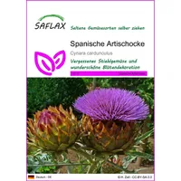 SAFLAX - Stielgemüse - Spanische Artischocke - 50 Samen