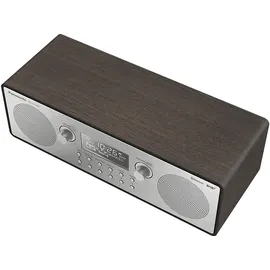 Panasonic RF-D100BT