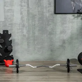 sportnow Hantelscheiben 2 x 5 KG gummierte Olympiascheiben für Krafttraining schwarz