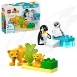 [DE] LEGO DUPLO - Famiglie di animali: pinguini e leoni - LEG10442