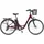 Telefunken Multitalent RC822 28 Zoll 48 cm weinrot inkl. Fahrradkorb