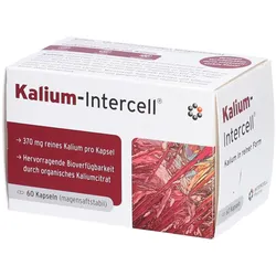 Kalium-Intercell magensaftresistente Hartkapseln – Unterstützung für Muskeln & Nerven