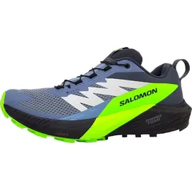 Salomon Sense Ride Herren Flint Stone/Black/Green Gecko 42