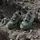 adidas Terrex Skychaser Gore-tex® Wanderschuhe - Silver Green / Linen Green / Legend Ivy - EU 38