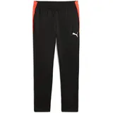Puma IndividualLIGA Trainingshose Herren 07 black/heat fire S