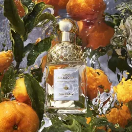 Guerlain Aqua Allegoria Mandarine Basilic Eau de Toilette 125 ml