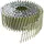 DeWalt Coilnagel DNN galvanisiert - DNN20R38G12E,
